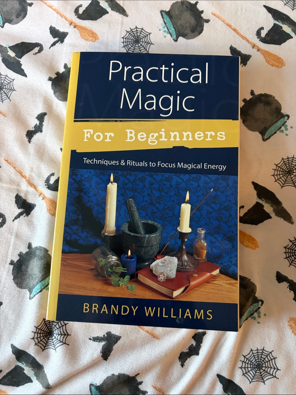 Practical Magic For Beginners-By Brandy Williams